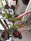 Rastrillo - Claas - liner 3600 comfort