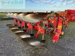 Arado - Vogel  Noot - 8s565a10