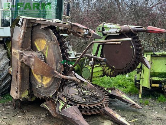 Cosechadora de Cereal - Claas - RU450 6 ROW