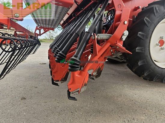 Sembradora - Maschio - nina 30
