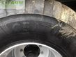 Cinta transportadora de forraje - Fliegl - asw 190 compact