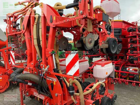 Sembradora monograno mecanica - Maschio - manta 8-reihig