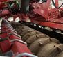 Sembradora - Horsch - express 3kr