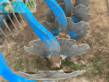 Cultivador - Lemken - rubin