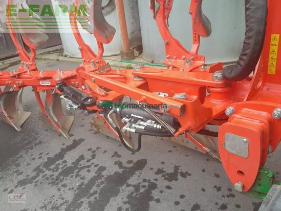 Arado - Maschio - unico m passo 4