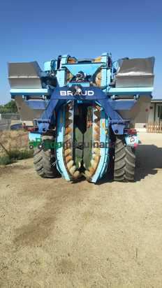 Vendimiadora - Braud - SB 58