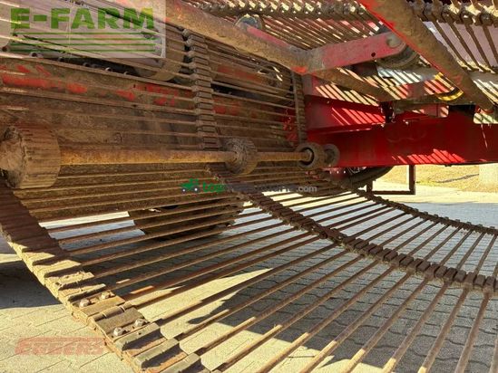 Cosechadora - arrancadora de patata - Grimme - se 260 ub