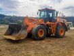 Palas cargadora DOOSAN DL300 L/AUX