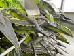 Cabezal - Claas - orbis 900