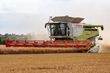 Cosechadora de Cereal - Claas - lexion 780 tt *allrad* + v1230