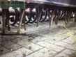 Grada rotativa - Rau - kreiselegge 3m