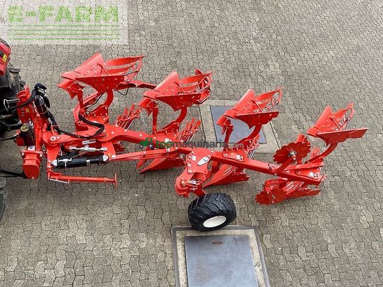 Arado - Maschio - unico m passo 4+