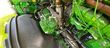 Cosechadora de Cereal - John Deere - 8500