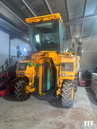 Vendimiadora - Grégoire - 	G114