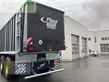 Cinta transportadora de forraje - Fliegl - gigant asw 281 fox tandem