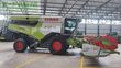 Cosechadora de Cereal - Claas - lexion 5500 montana top zustand