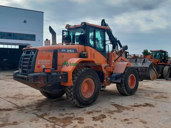 Palas cargadora DOOSAN DL250-3