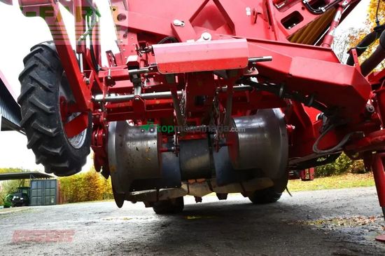 Cosechadora - arrancadora de patata - Grimme - se 260 ub