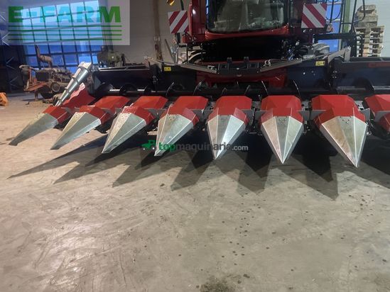 Cabezal - Dominoni - maispflücker 8 reiher