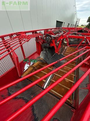 Cosechadora de Cereal - Grimme - rexor 6300 platinum