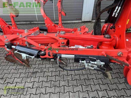 Arado - Maschio - unico l5 +vario nsh