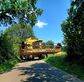 Cosechadora de Cereal - New Holland - tx 68 plus