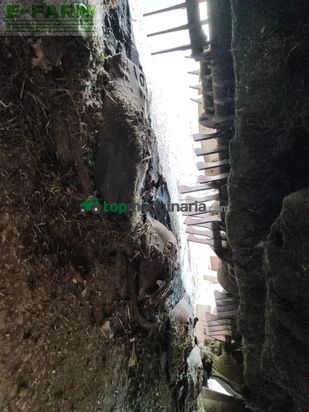 Cortacésped manual - Kuhn - fc 3125 df -ff