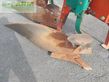 Arado - Kverneland - ld100