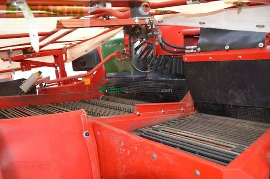 Cosechadora - arrancadora de patata - Grimme - evo 280 clodsep nonstop