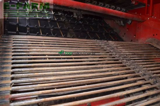 Cosechadora - arrancadora de patata - Grimme - evo 280 clodsep nonstop