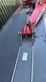 Cortacésped manual - Massey Ferguson - dm367 tl-v