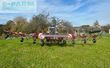 Henificador - Massey Ferguson - td 1008 trc