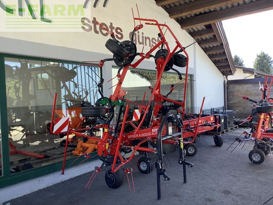 Henificador - SIP - spider 600 / 6 alp