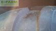 Empacadora gigant - Claas - rollant 455 rc uw
