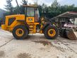 Palas cargadora JCB 427 HT S5