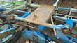 Cultivador - Lemken - kristall 9/500 ku