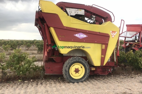 Vendimiadora - ALMA - ALMA SELECTA XL