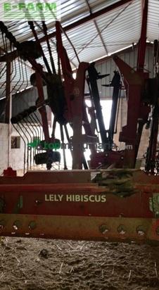 Rastrillo - Lely - hibiscus
