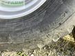 Cinta transportadora de forraje - Fliegl - asw 160