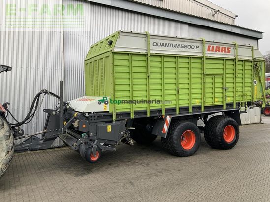 Cinta transportadora de forraje - Claas - quantum 5800 p