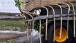Equipamiento / accesorio - Joskin - 26000l