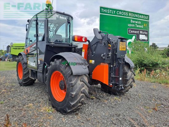 Telescopica - Bobcat - TL34-65HF