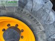 Telescopica - Dieci - agri pivot t60 mit neuem motor