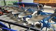 Arado - Lemken - juwel 8v5+1 n100 onland ploeg