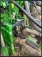 Atomizador - Amazone - ux5200
