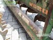 Combinado de siembra - Amazone - ad 302 / kg 302
