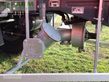 Equipamiento / accesorio - Kotte - vt13900/5