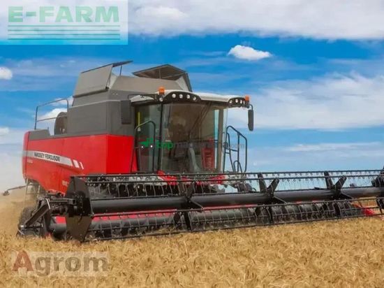 Cosechadora de Cereal - Massey Ferguson - 7360 beta