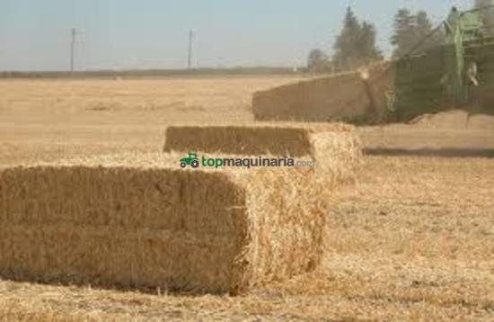 Empacadora gigant - Krone - EMPACADORAS GIGANTES KRONE