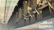 Cosechadora de Cereal - Claas - evion 410 classic